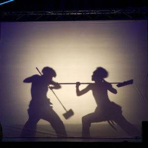 Silhouet boeken