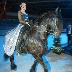 Zingend-te-paard-boeken